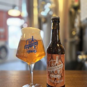 Das Citra Lager in der Flasche und im Glas